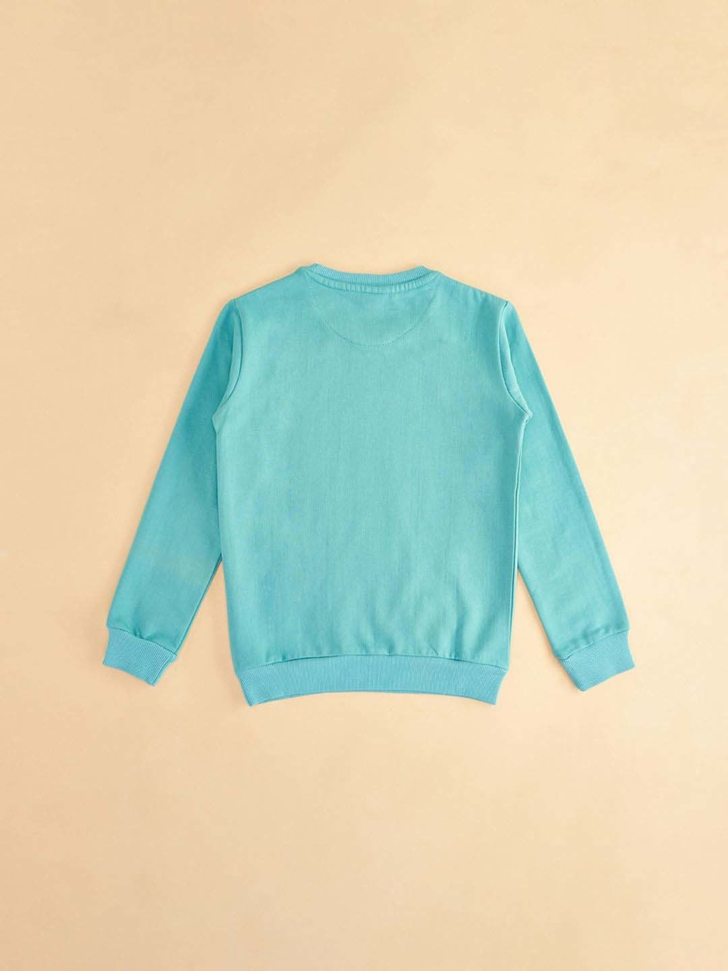 KIDS ONLY Blue Cotton Embroidered Full Sleeves Sweatshirt