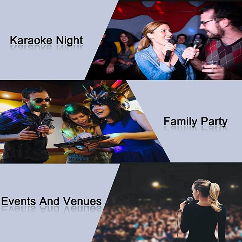 Wireless Microphone System with Echo  UHF Dual Wireless Mics Receiver with 14 Input Jacks for Two More Wired Mics All Metal Easy Setup Echo Control for KaraokePublic Address ARU999A