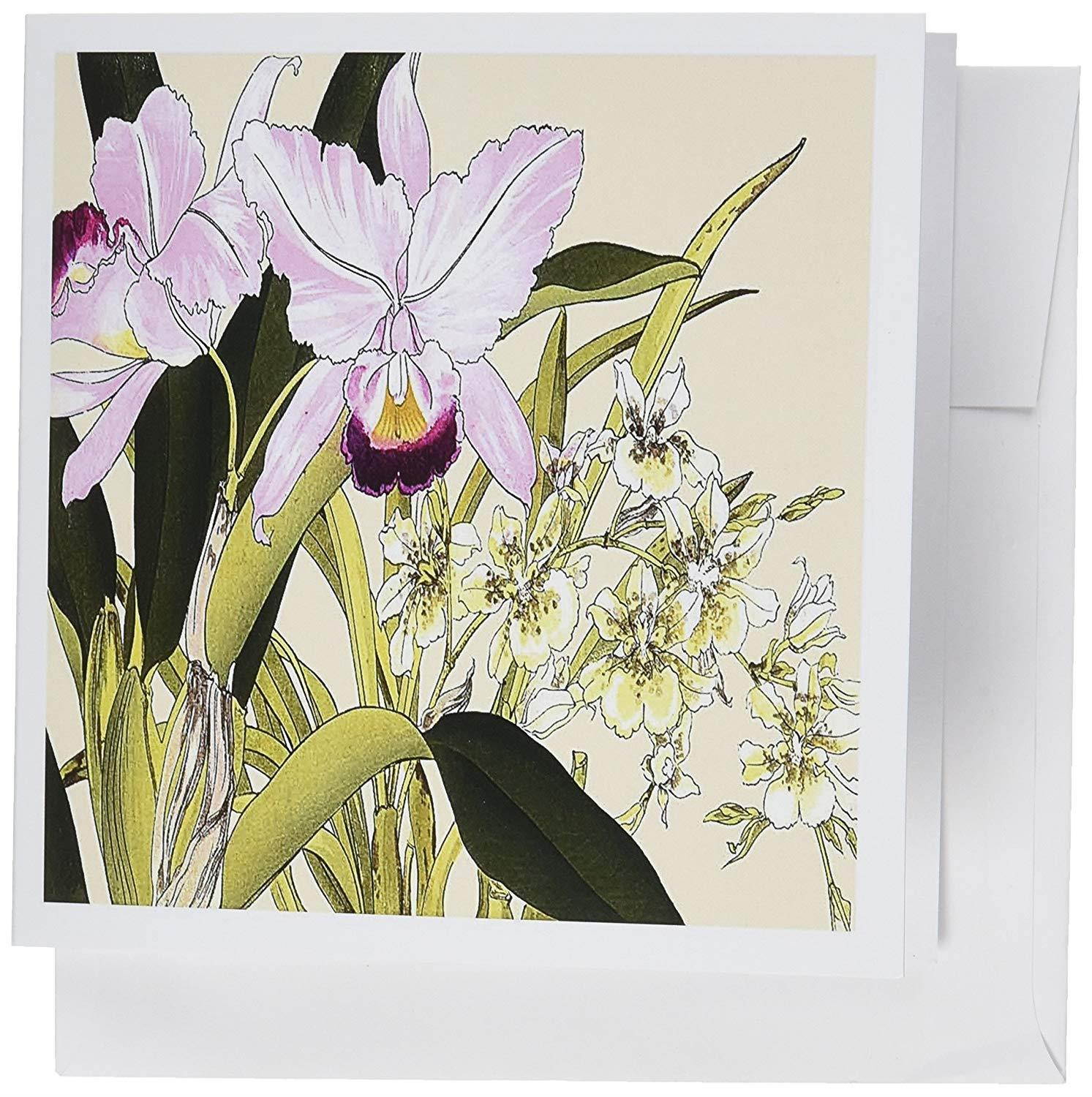 3dRose Light Pink Cattleya Orchids and Light Yellow Oncidium Orchid - Greeting Cards, 6 x 6 inches, set of 6 (gc_175425_1)