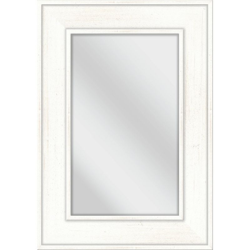 28.5" x 40.5" Collective Decorative Wall Mirror - PTM Images