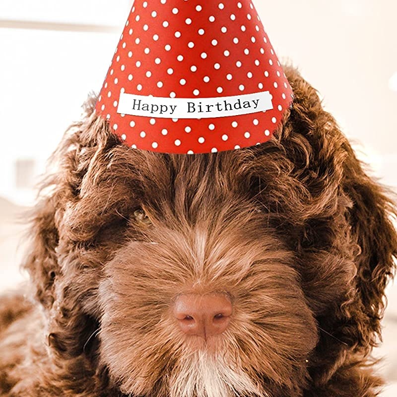 Compatible Label Tapes Replacement for Brother Label Maker Tape 12mm 047 Laminated White Tapes TZe231 TZ231 Work with Brother PTouch PTD200 PTD210 PT1230PC PT1280 7Pack