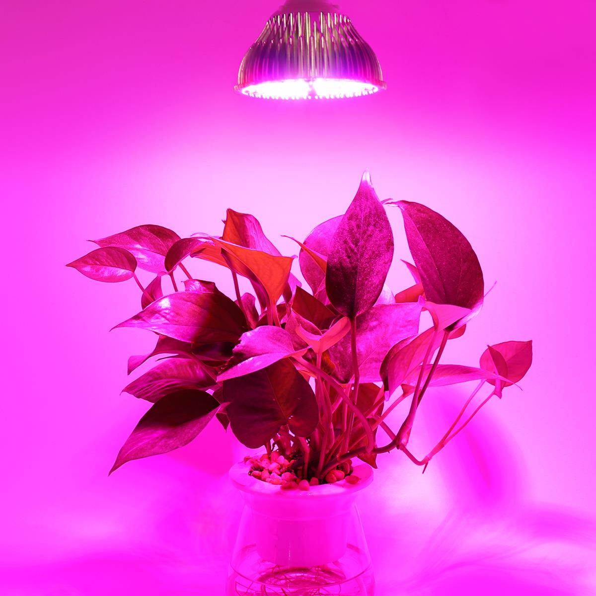 E27 85V-265V 80W 120 LEDs Plant Fill Grow Light Full Spectrum Band Red 78 & Blue 24 & Warm 6 & Infrared 6 & UV 6 for Grow Tent / Bonsai