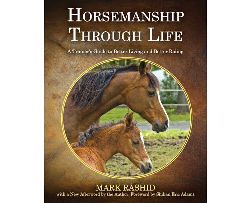 Amc's Best Day Hikes in the Berkshires - (AMC's Best Day Hikes) 3rd Edition by  John S Burk & Rene Laubach (Paperback)