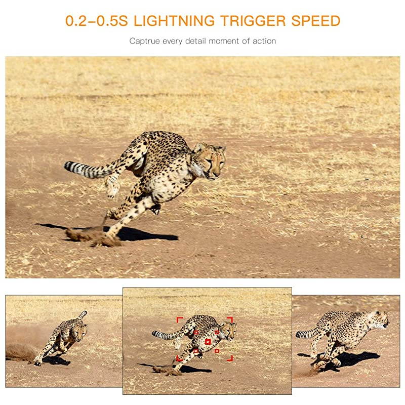 Trail Camera 16MP 1080P NoGlow Infrared Night Vision Hunting Camera for Wildlife Monitoring Garden Home Security Surveillance