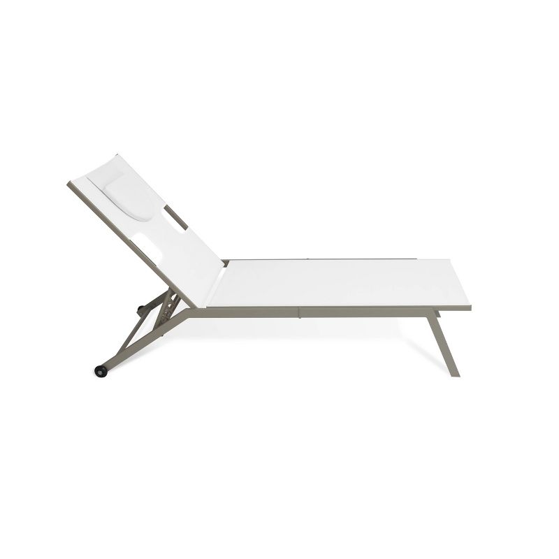 Chatham 2pk Outdoor Chaise Lounges - Ostrich