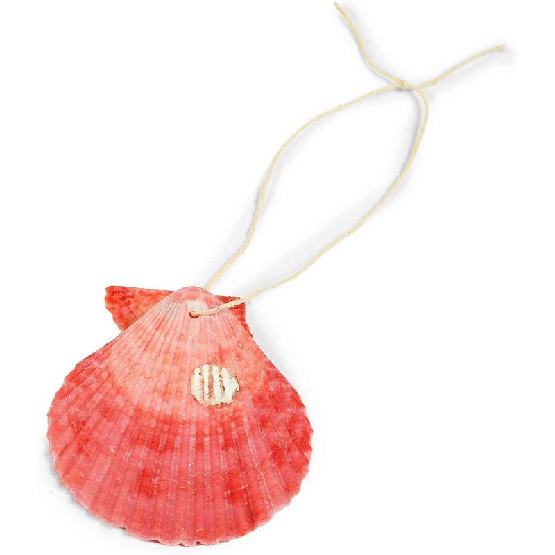 Bright Creations 77 Pieces DIY Decorative Fishing Net, 24 Sea Shells, 52 Strings, Arts and Crafts (79 x 79 in)