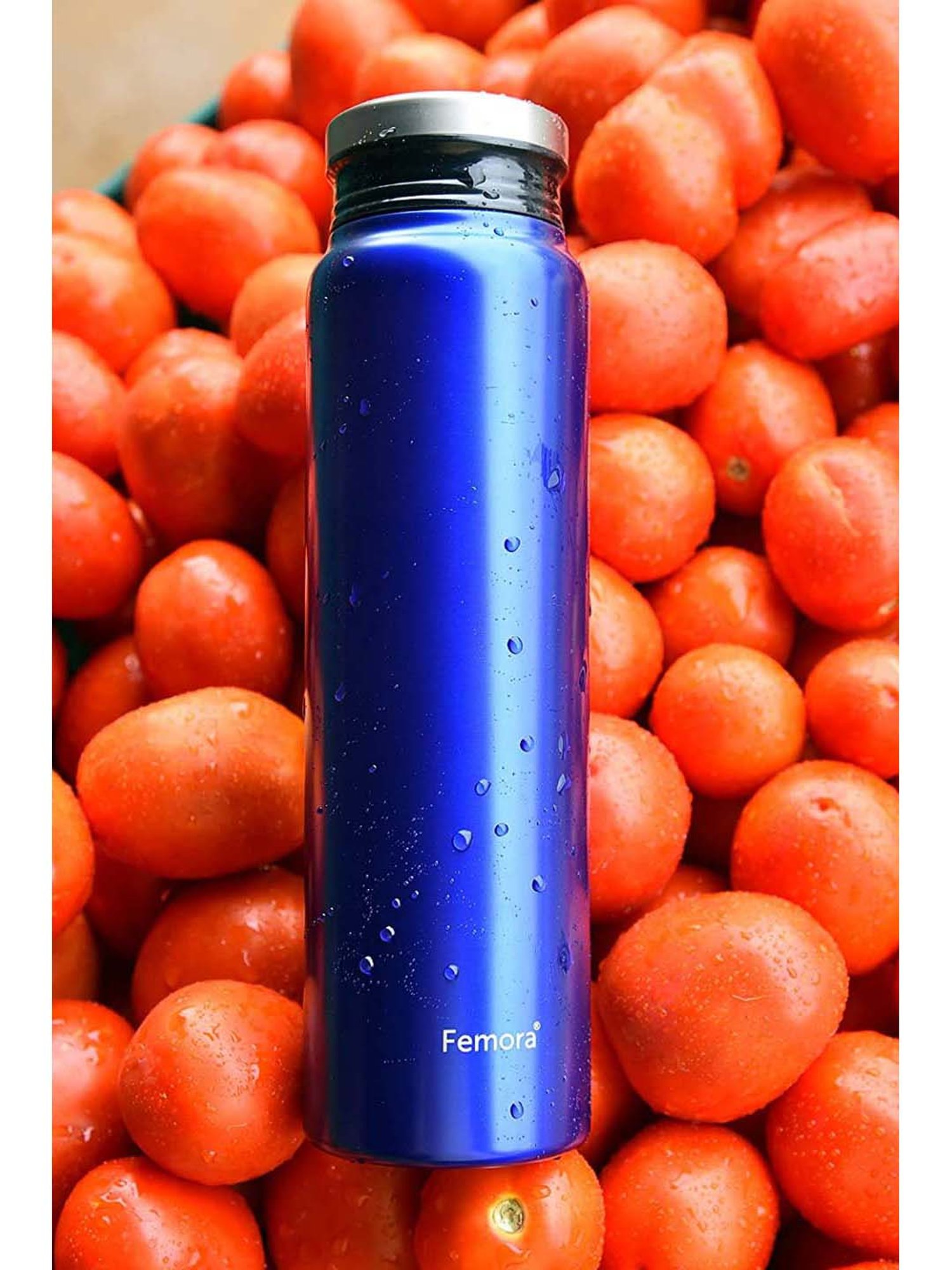 Femora Blue Stainless Steel ThermoSteel Vacuum Water Bottle (0.75 L) - Set of 1