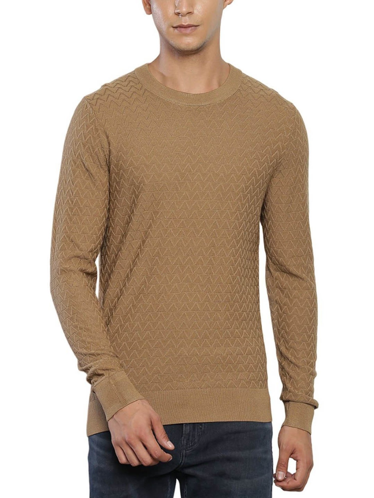 Tommy Hilfiger Beige Cotton Regular Fit Self Pattern Sweater