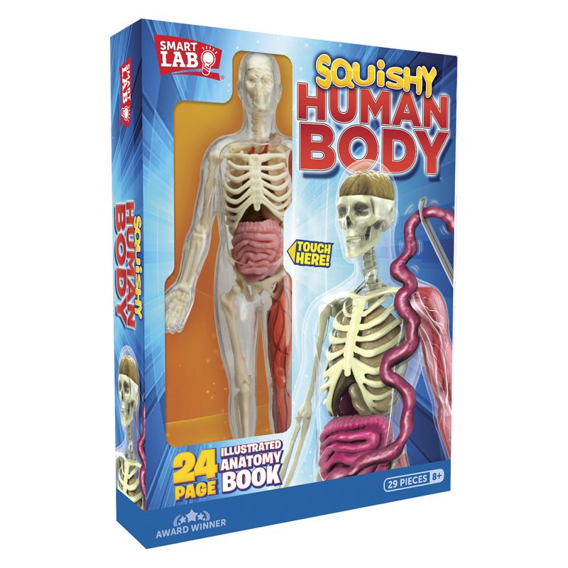 Squishy Human Body Anatomy Kit