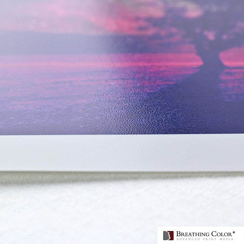 Luster Photo Printer Paper 10 mil 255 gsm Luster Finish Premium Photo Paper Roll on 3in Core 50 inches x 100 feet Works with Most Inkjet Printers Including Professional Makes and Models