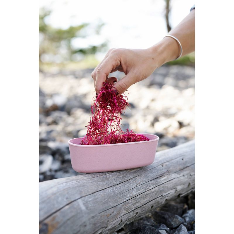 2pk Plastic SnapBox Lunch Set Green/Pink - Light My Fire of Sweden