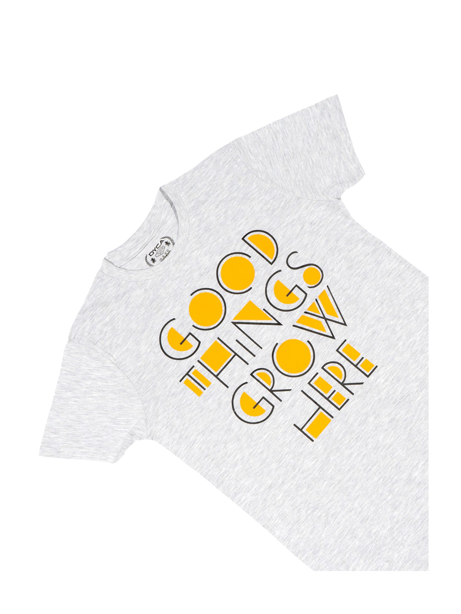 Dyca Boys Grey Graphic T-Shirt