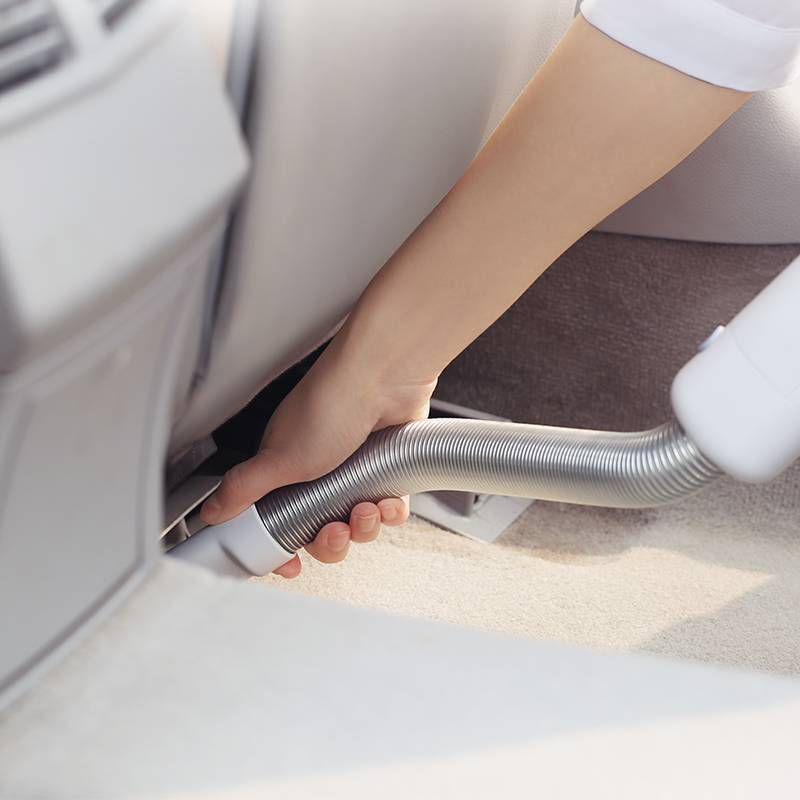 The Good Home Co. Pure Grass Vacuum Beads - 8oz