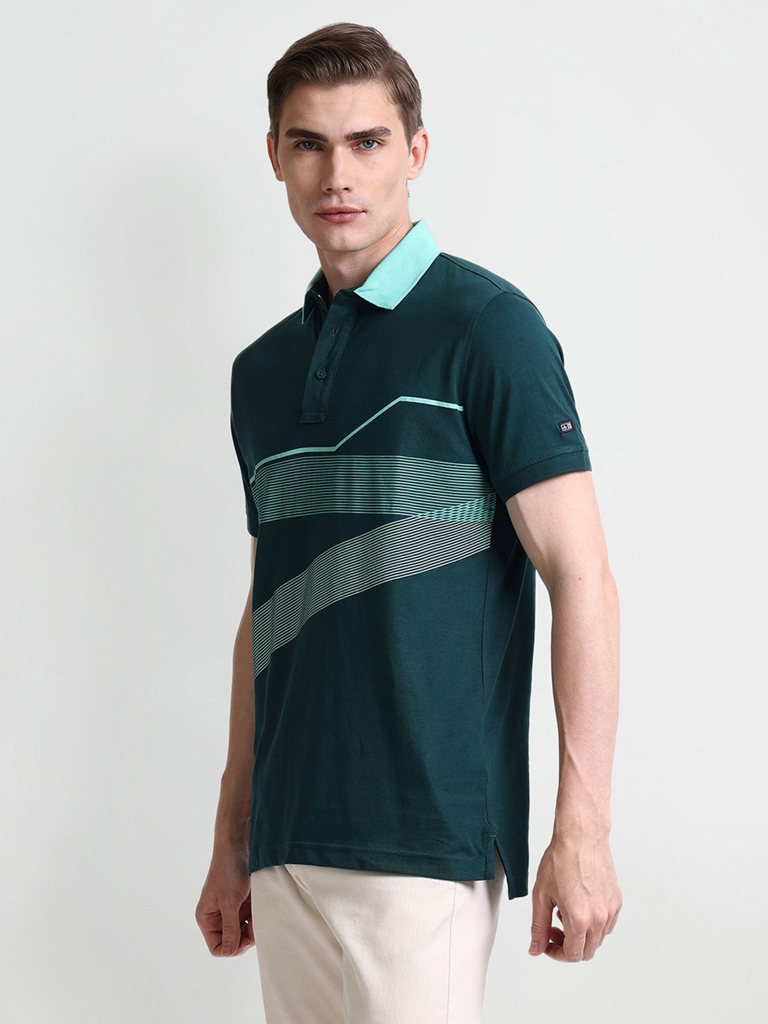 Arrow Green Cotton Regular fit Stripes Polo T-Shirt