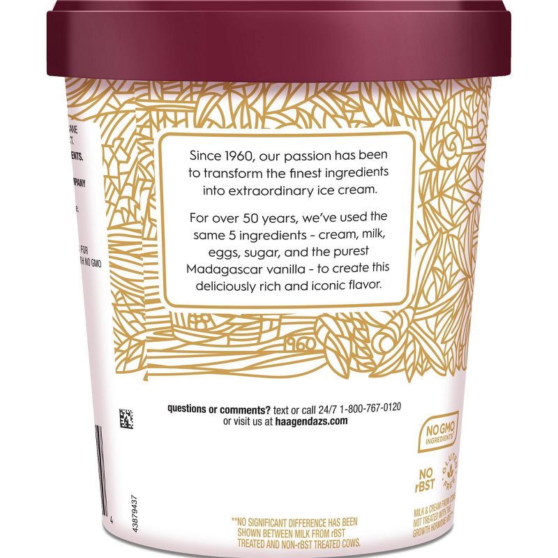 Haagen Dazs Vanilla Ice Cream - 28oz