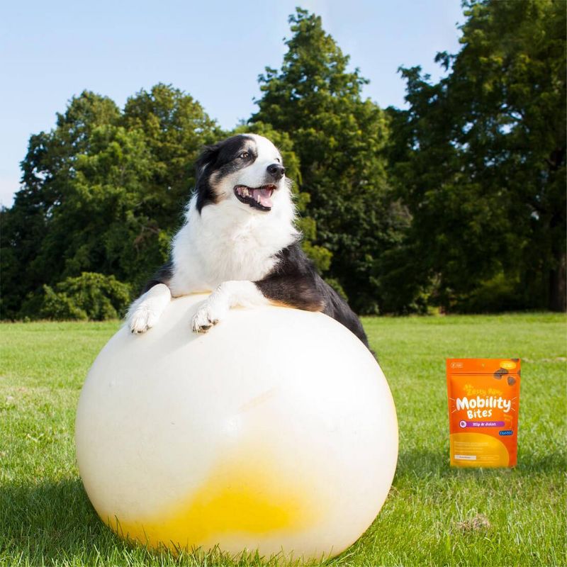 Zesty Paws Hip and Joint Vitamins & Supplements Mobility Bites for Dogs