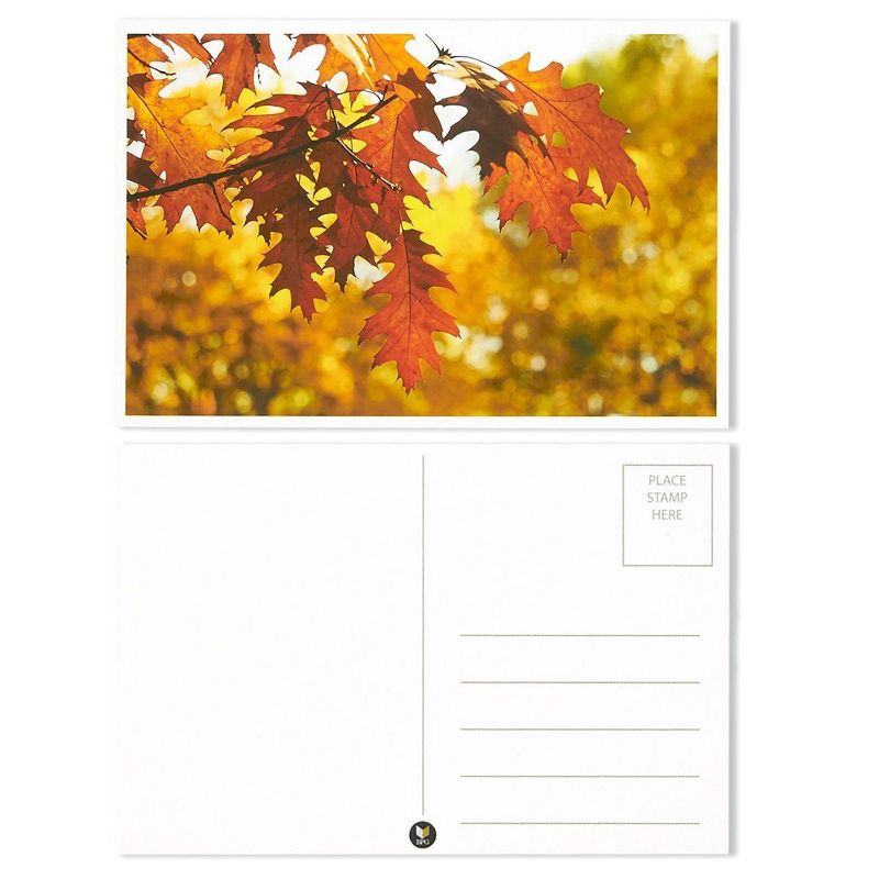 40 Pack Postcard Four Seasons Fall Autumn Winter Summer Spring Theme Self Mailer