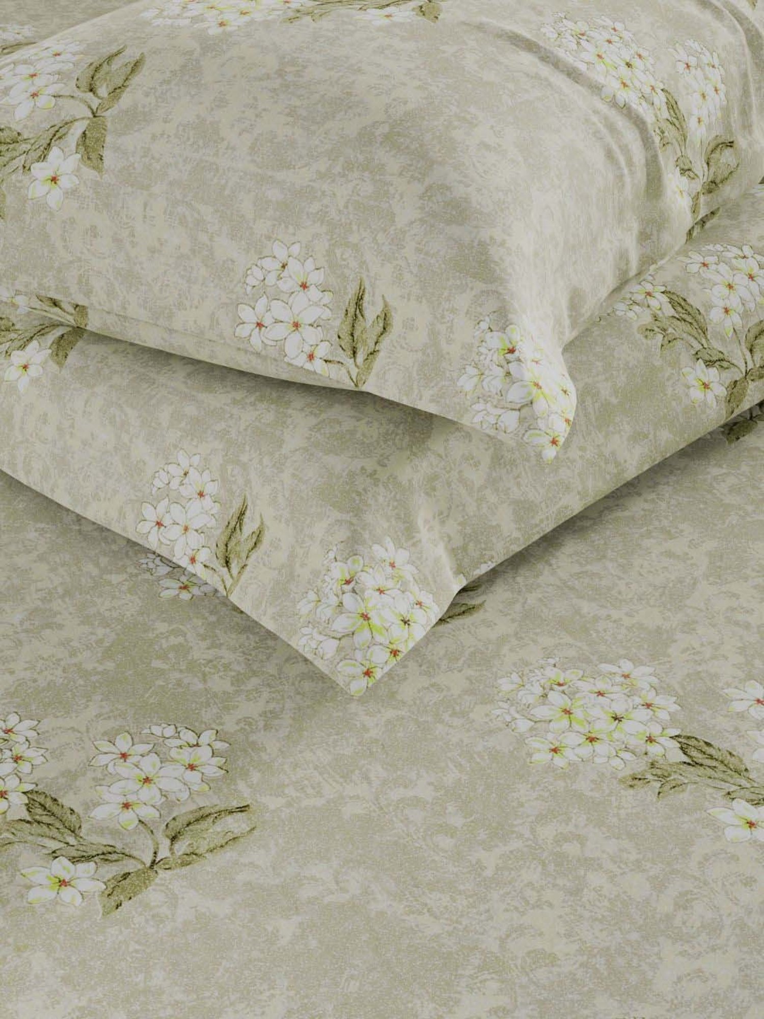 Bianca Amolina Green 135 TC Cotton Double Bedsheet with 2 Pillow Covers