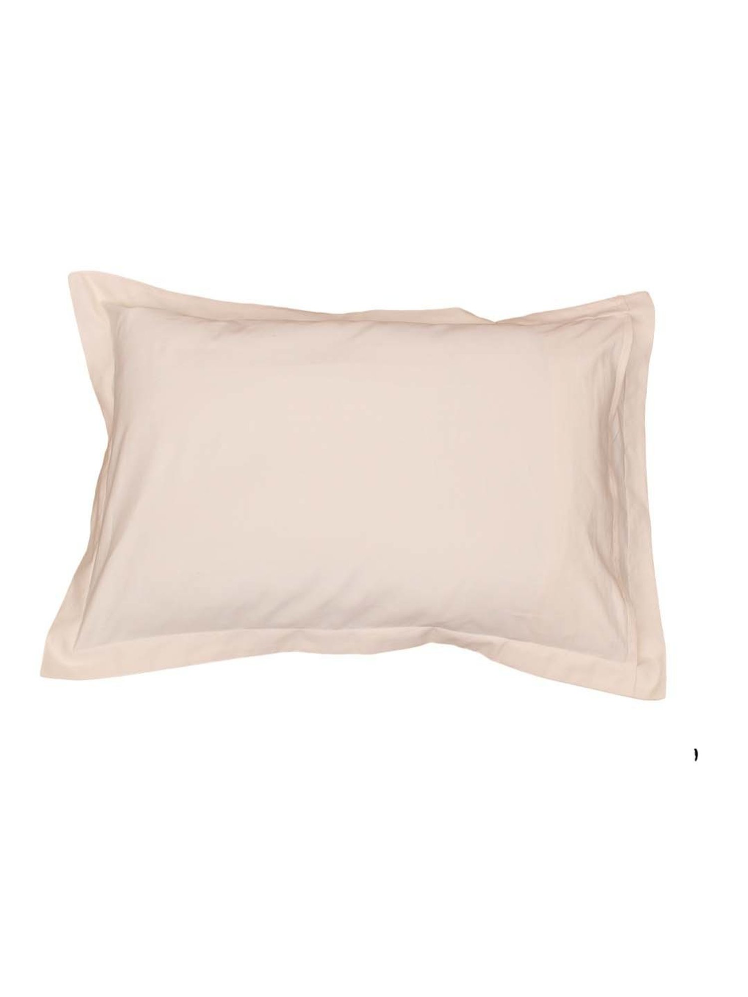 House This Sesame Cream 150 TC Cotton Fitted Bedsheet with 2 Pillow Covers