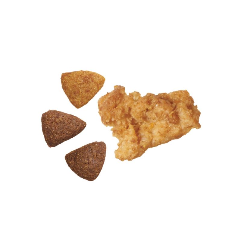 Purina ONE Joint Health Dry Dog Food - 31.1lbs