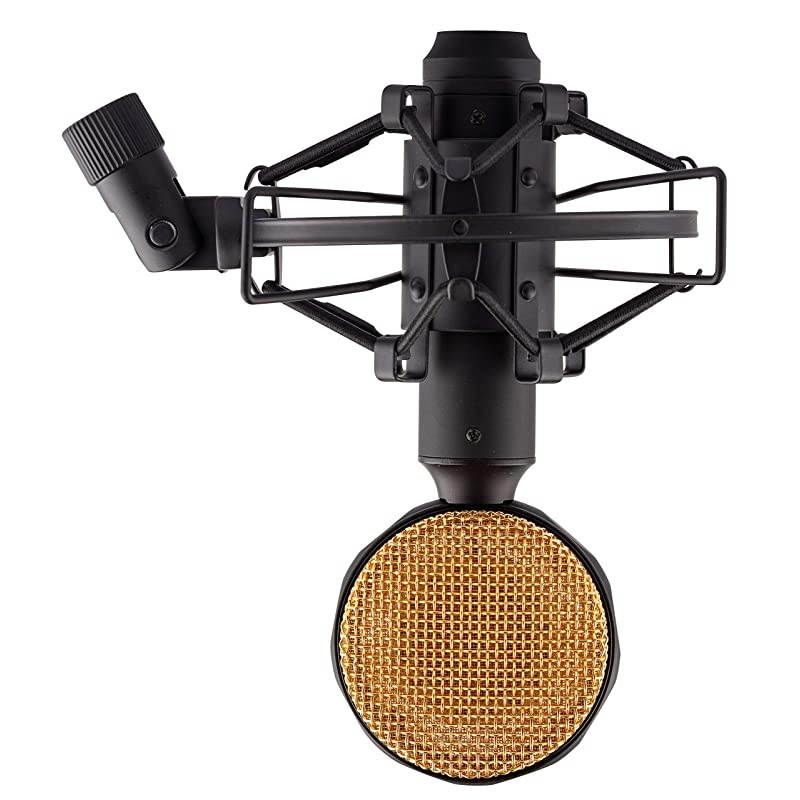 Microphone Shock Mount Holder Clip Mic Anti-Vibration for 22mm-26mm Diameter Dynamic Mic Like Shure SM58 SM57 PAG48 Sennheiser E835 E845 AKG D5S Samson Q7 Q8 Behringer Xm8500