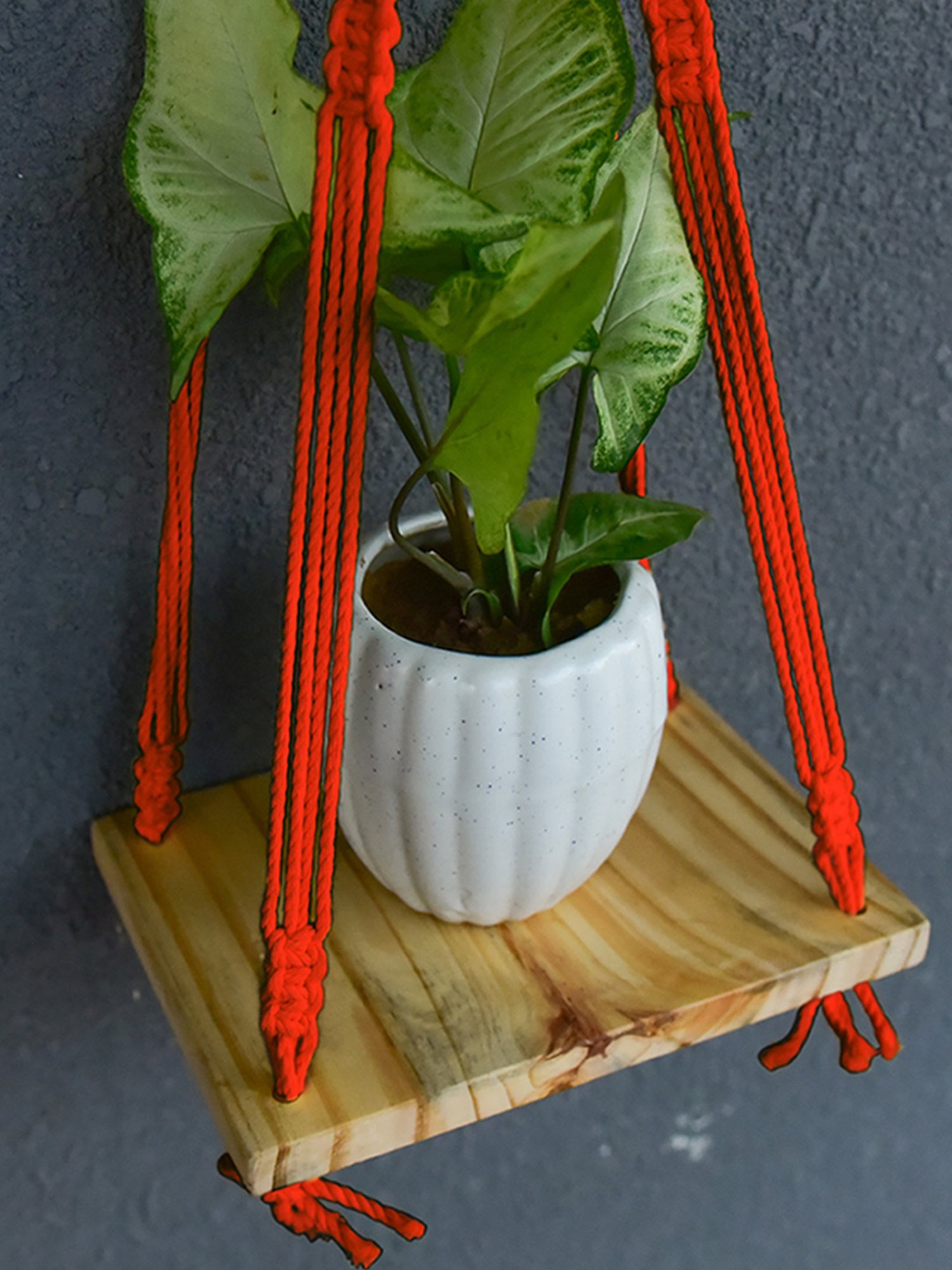 Gathari White & Orange Ceramic Desk Planter