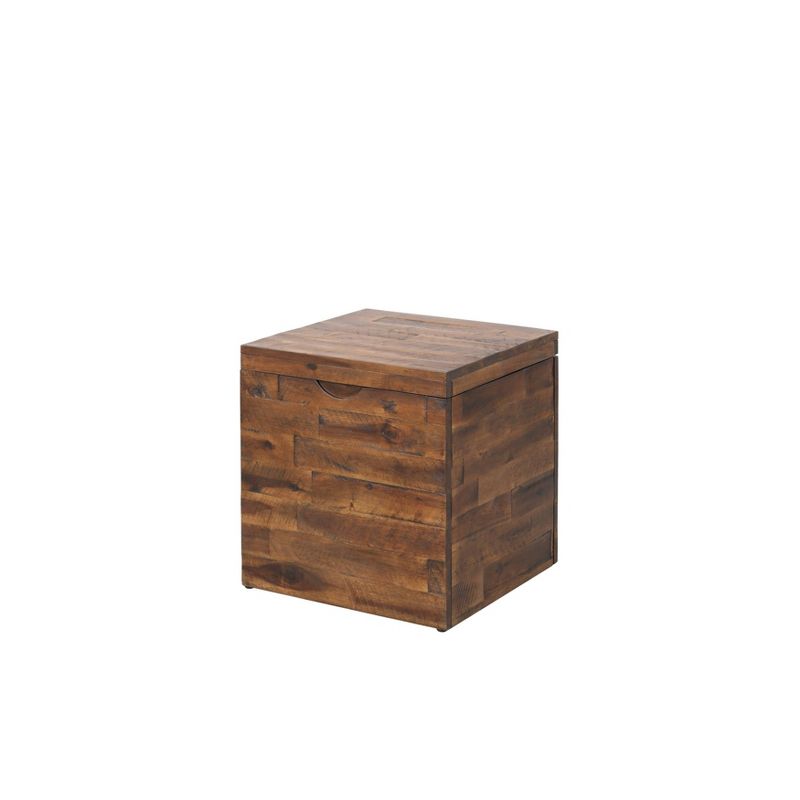 17.75" Cassian Storage Cube Trunk Dark Brown - Summerland Home