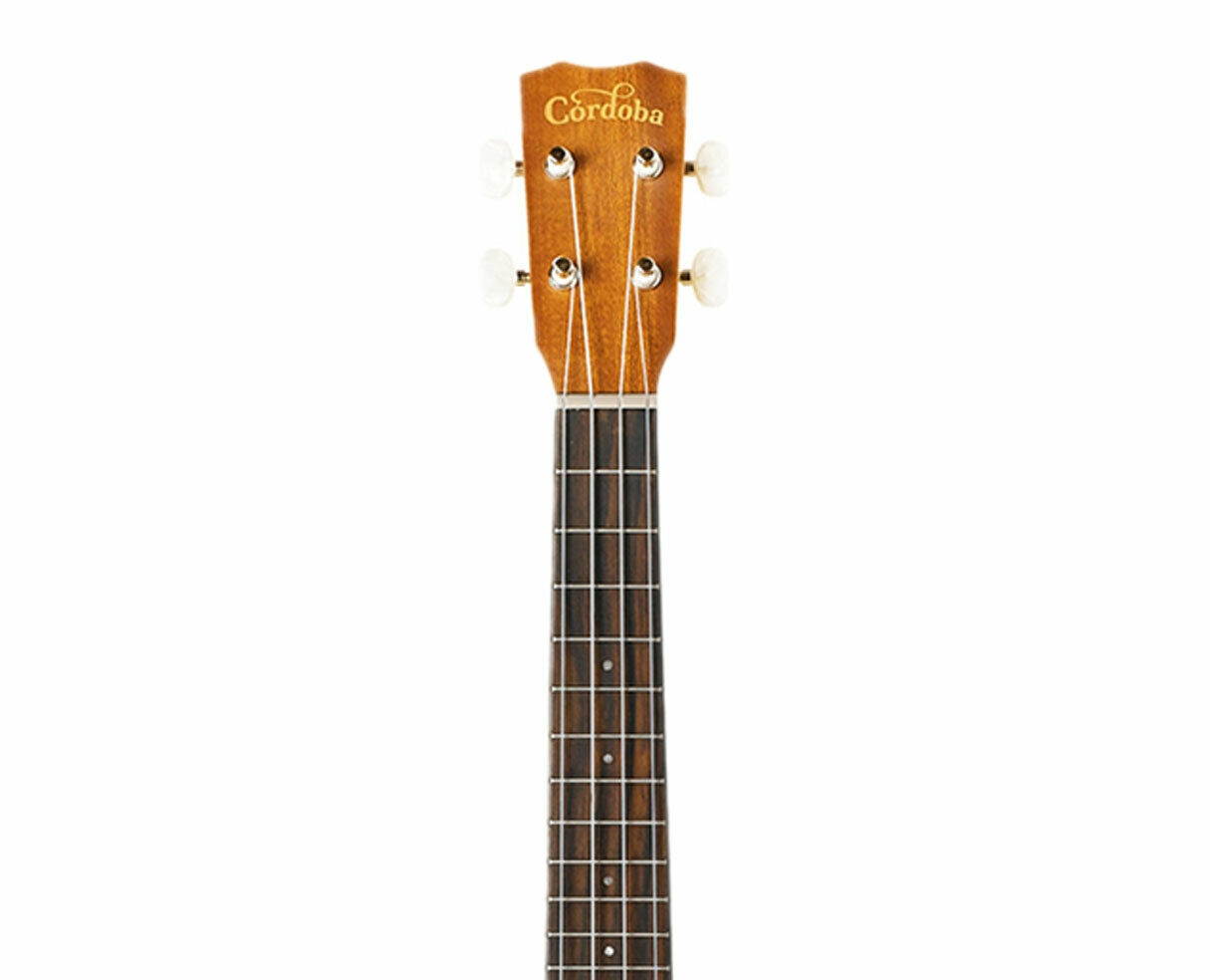 Cordoba 20CM Concert Ukulele