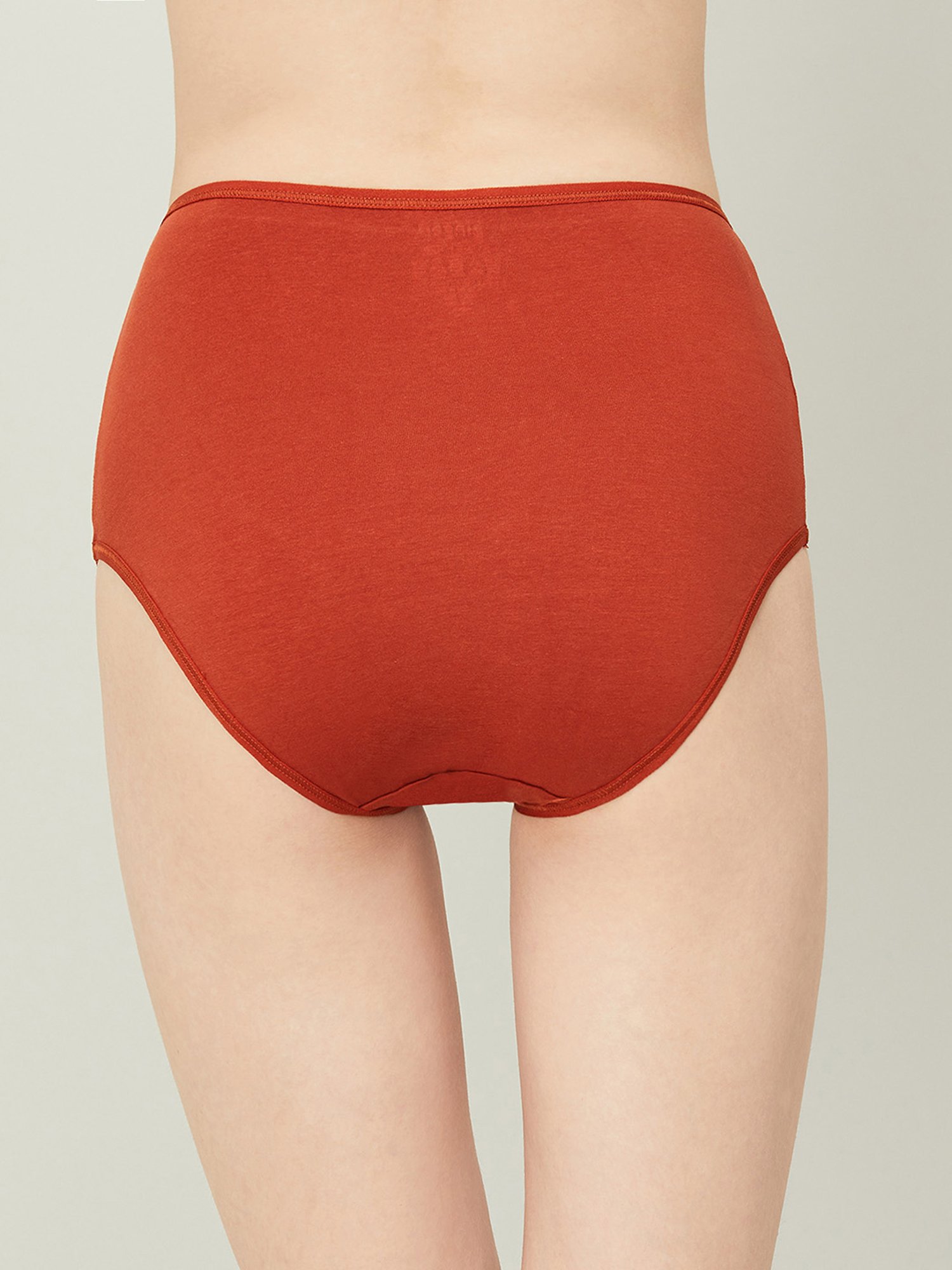 Ginger by Lifestyle Assorted Color Printed Panties - Pack Of 3