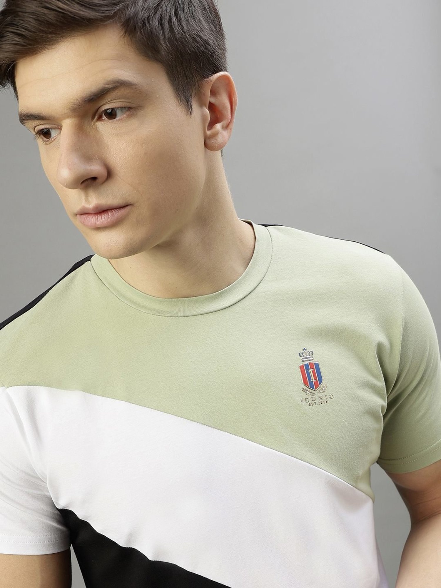 Iconic Men Colourblocked Regular Fit Cotton T-shirt