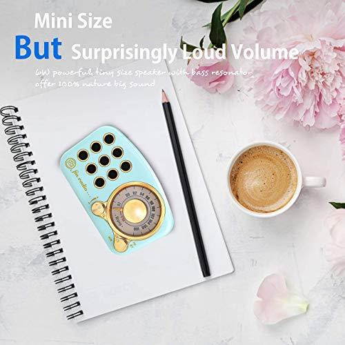 Retro Bluetooth Speaker Vintage Radio FM Radio with Old Fashioned Classic Style Strong Bass Enhancement Loud Volume Bluetooth 42 Wireless Connection TF Card and MP3 Player Blue