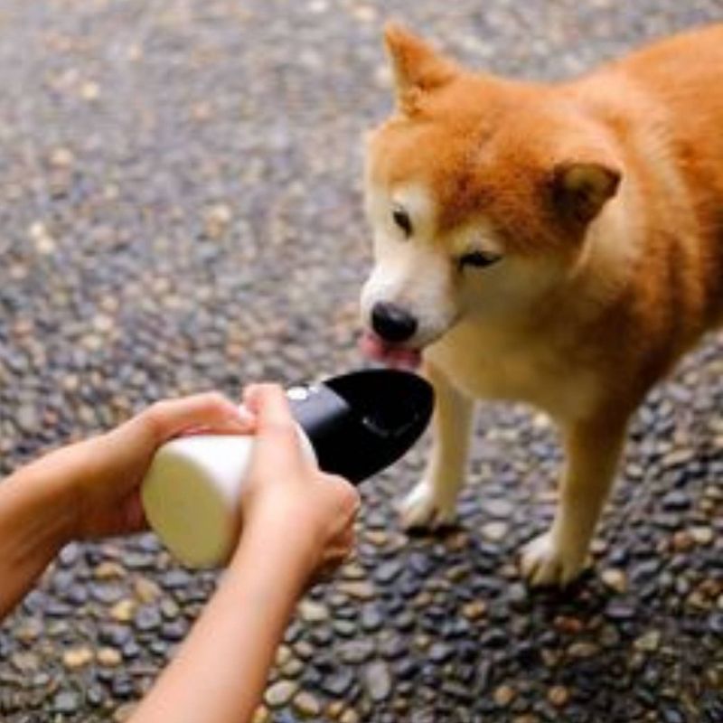 Instachew Rover Travel Pet Water Bottle - Black