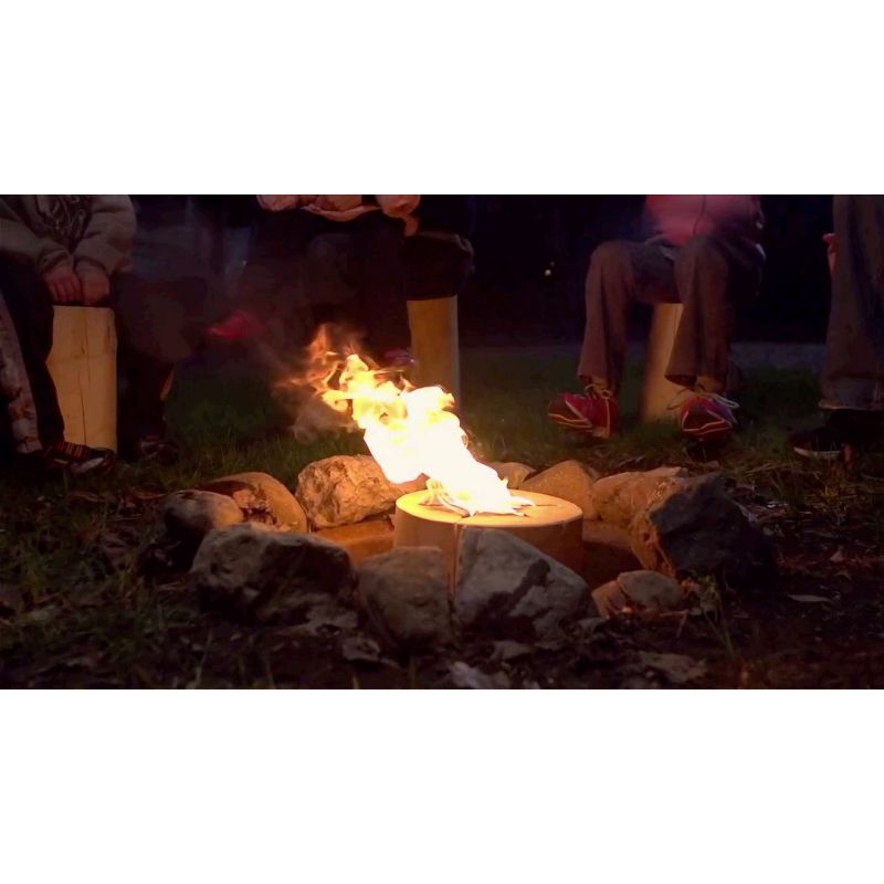 TimberTote Large 12 Inch x 8 Inch One Log Campfire Camping Cooking Camp Fire Wood Log