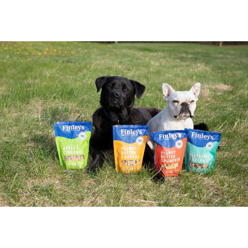 Finley's All Natural Variety Pack Biscuit Dog Treats - 4pk