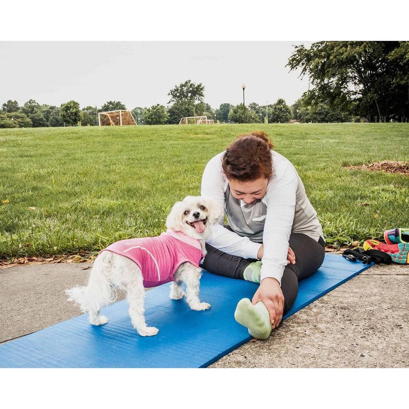 Pet Life Active Pull-Rover 4-Way Stretch Two-Toned Performance Sleeveless Hoodie Dog and Cat T-Shirt - Pink - XS