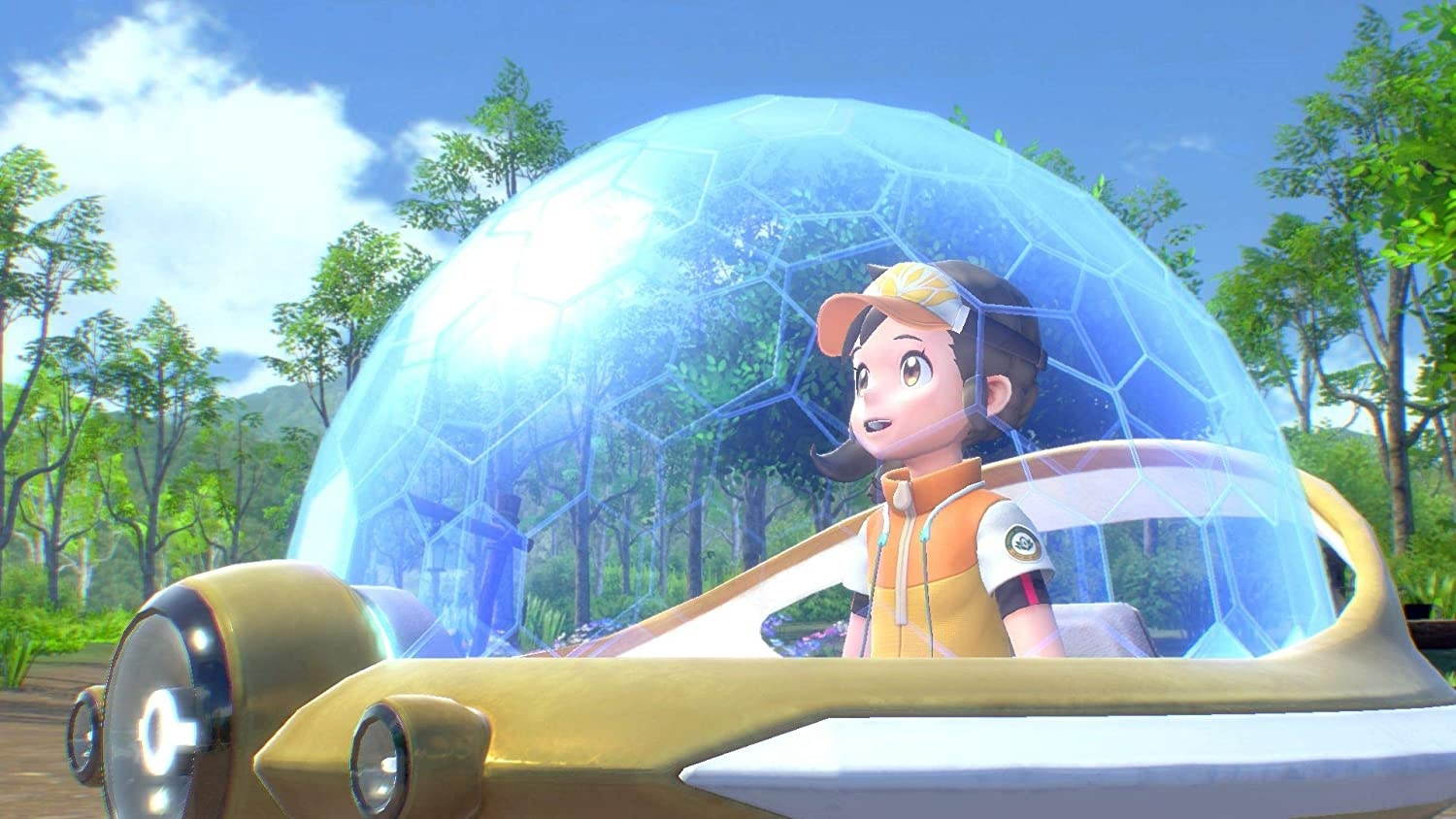 hollow knight  nintendo switch