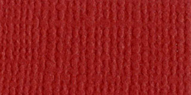 Bazzill BAZL-E-250 Bazzill Cardstock 12 x 12 Inch  - Case of  25