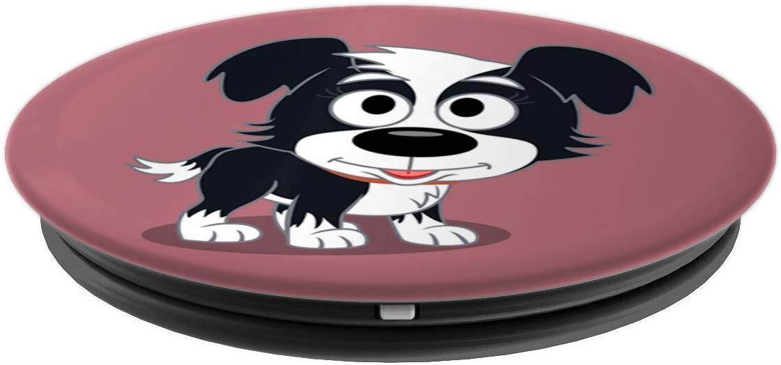 Cute Border Collie Cute Face