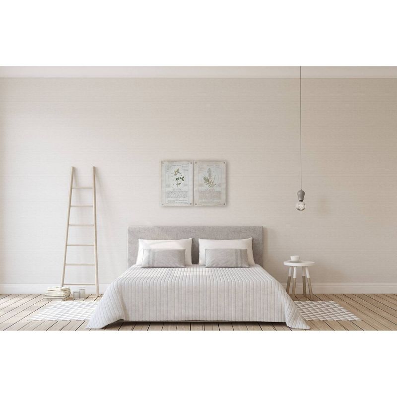 Set of 2 Styles Botanical Descriptions on Canvas with Grommets Decorative Wall Art - 3R Studios