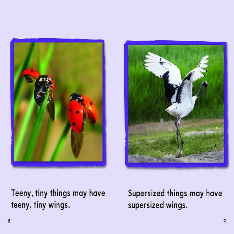 Teacher Created Resources Non-Fiction Reading Comprehension: Science Activity Book, Grade 2-3, 144 Pages