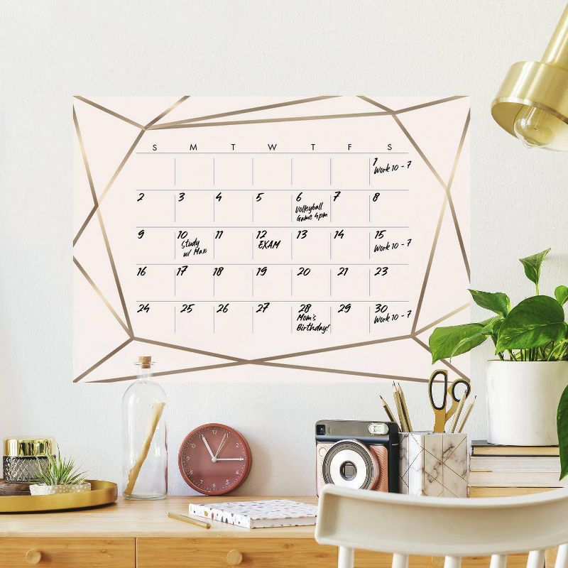 Blush Beauty Dry Erase Calendar Peel and Stick Giant Wall Decal - RoomMates