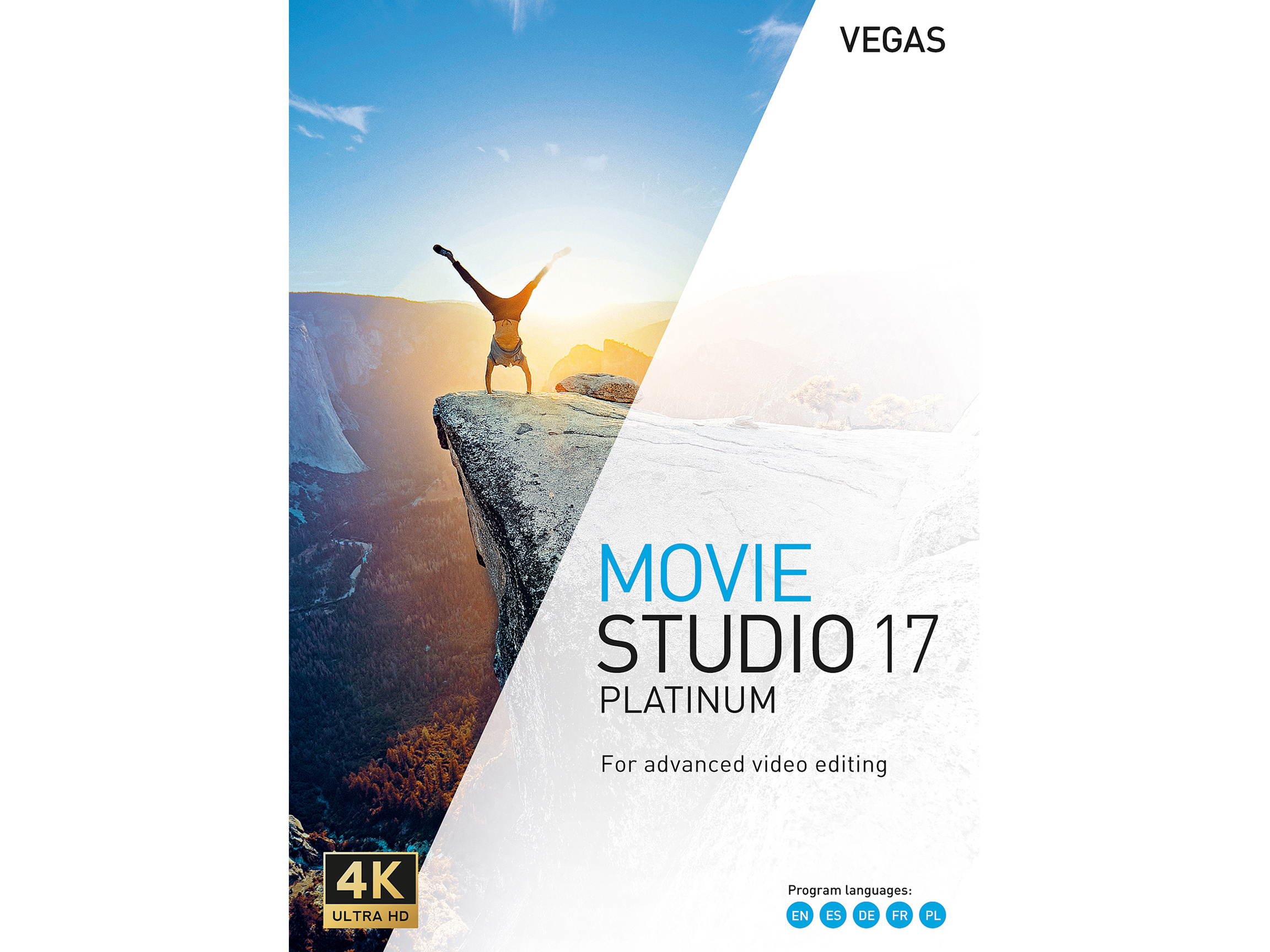 Movavi Screen Recorder 2021 Business License - Download