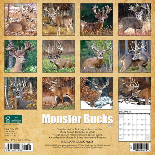 2021 Monster Bucks Wall