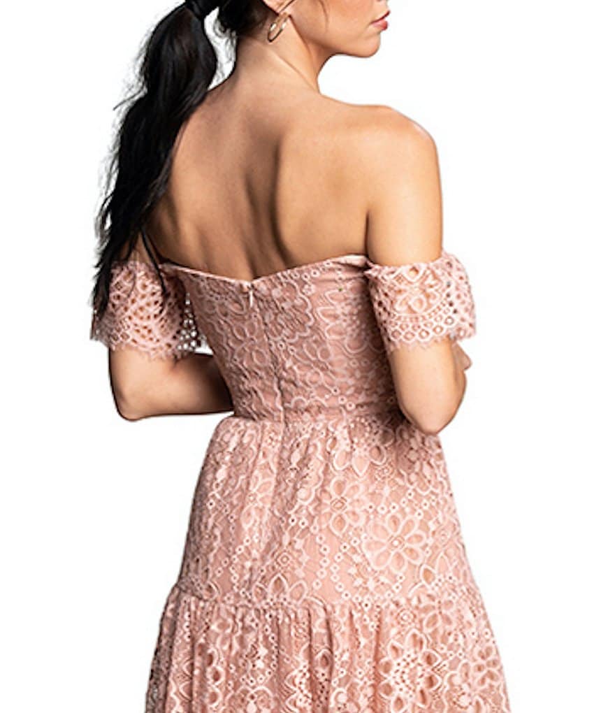 Dress the Population River Off-the-Shoulder Lace Midi Dress