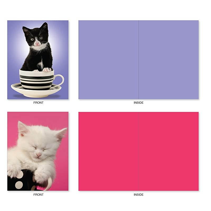 10 All Occasion Blank Cat Cards (4 x 5.12 Inch) - Cute Assorted Bulk Card Set - Cup-Cats M3969