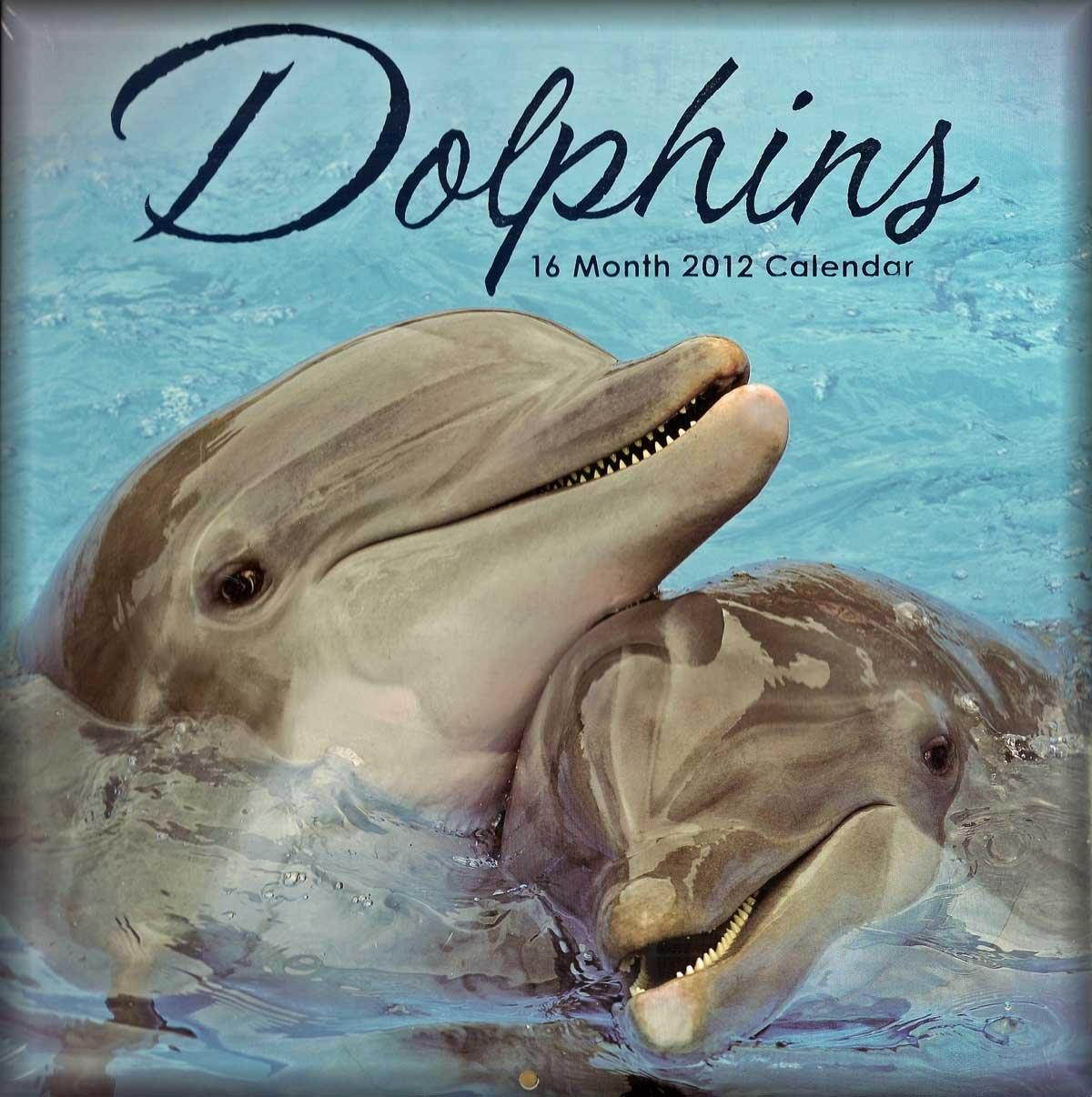 2012 Dolphins Wall Calendar