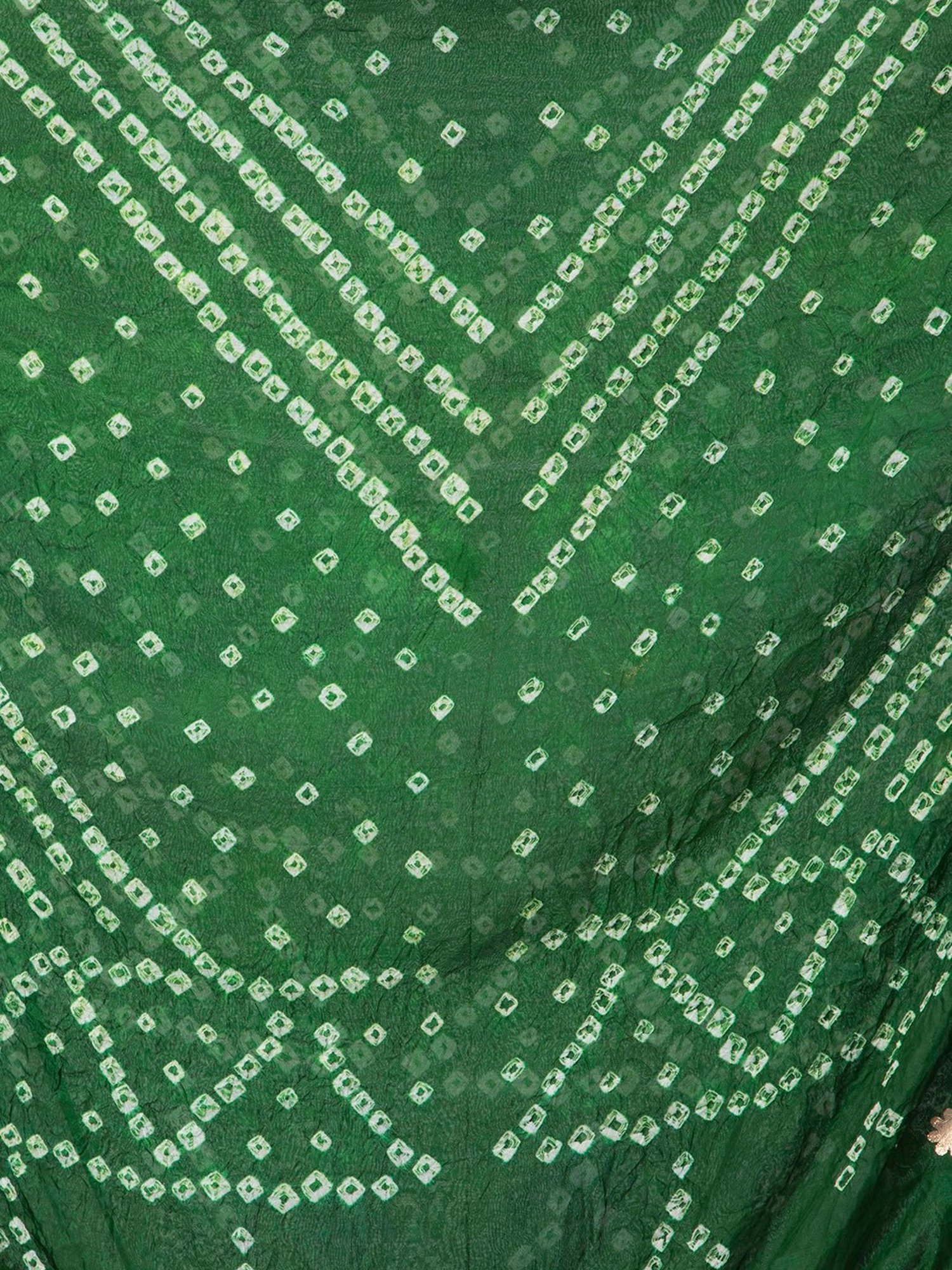 Aditi Wasan Green Printed Bandhani Dupatta
