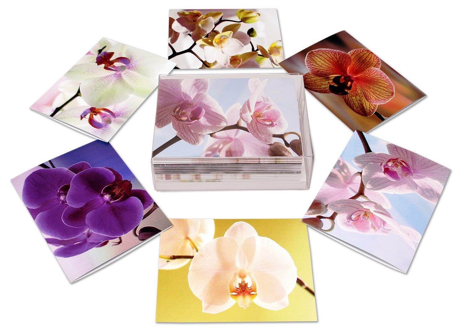 Orchid Blank Note Cards - Flower Greeting Cards with Envelopes - 6 Unique Designs - 5.5"x4.25" (12 Pack)