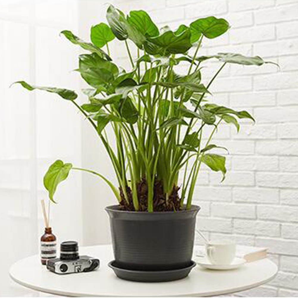 Cat6 110 Style Punch Down Keystone Jack, White, CAT 6, Rj45 90 Degree 50-Pack