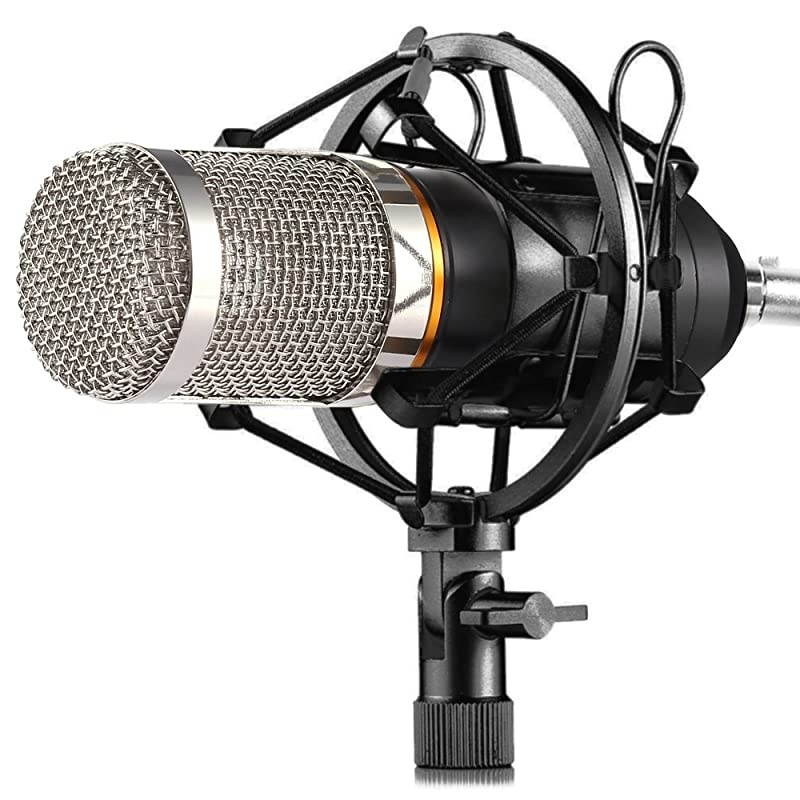 BM-800 Condenser Microphone, Cardioid Studio Recording Microphone with Shock Mount, XLR Cable